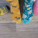 phoca_thumb_m_krteci 1 Fotogalerie